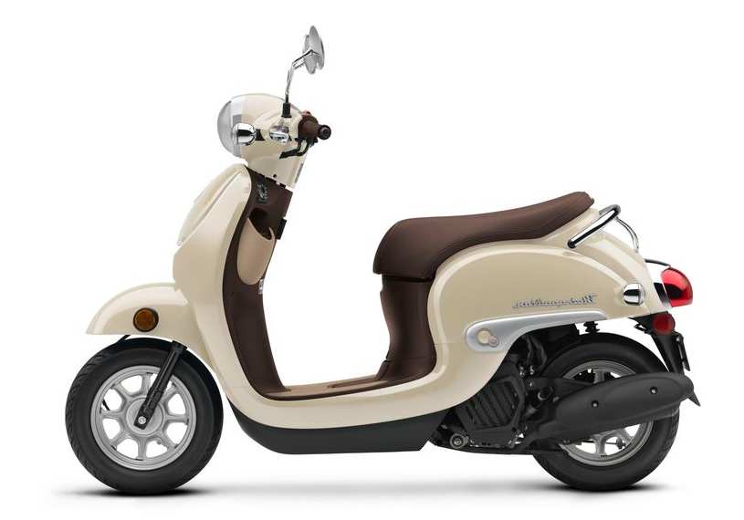 Scoots | Rentals