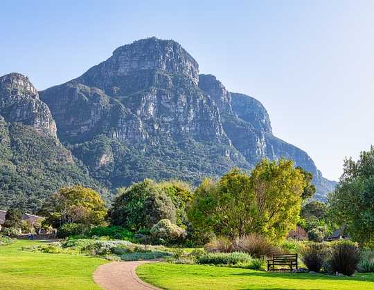 amazing landscape with mountain in background
