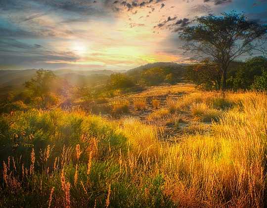 beautiful peaceful sunset