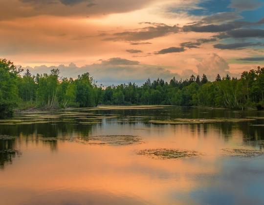 beautiful and calm landscape