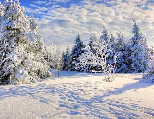 lots of snow